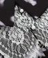 Feather Print Lace Collar Blouse